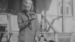 Дикая собака Динго или повесть о первой любви