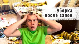 20 дней запоя. Сколько стоит уборка запущенной квартиры. Клиниг в Москве Белый кит