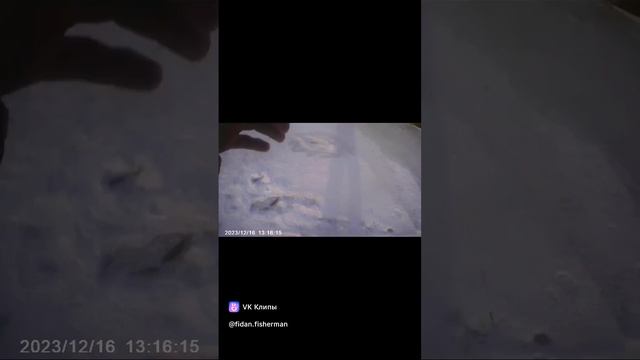 Ловля Окуня на блесну Маропедка🎣 Воспоминания о хорошей рыбалке зимой👍🎣 смотреть онлайн