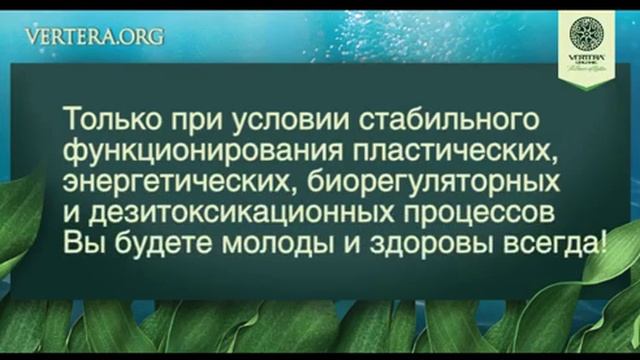 В чём же всё-таки секрет молодости, здоровья и долголетия?
