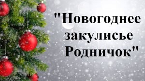 закулисье Родничок 2025