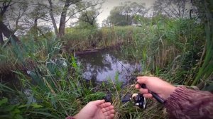 Карась в траве. Nano Zero Air. Мормышинг