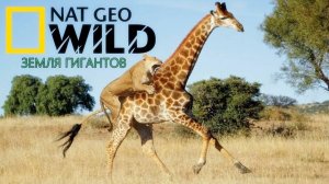 Nat Geo Wild Земля гигантов Африка 12+