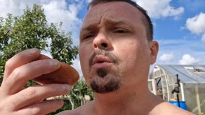 Томат Гном "Чёрный Ангус" сорт, очень хорош для салата 👌 "Black Angus " Dwarf tomato 🍅