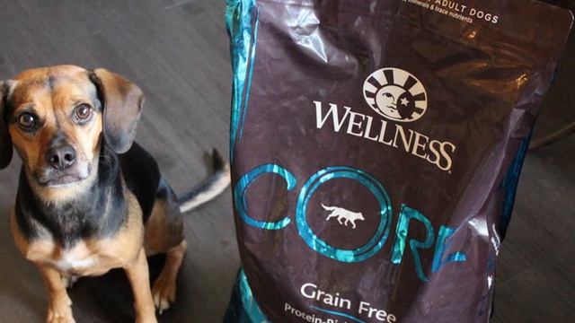 Best Dog Food In 2024 - Top 10 Dog Foods Review смотреть онлайн