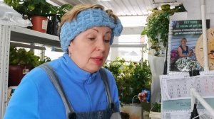 ПЕТУНИЮ режьте, не жалейте. Результатом будете довольны. Обзор петунии на 18 марта