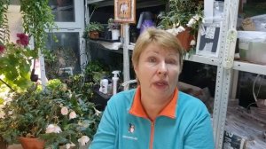 Какие семена будем сеять в следующем сезоне? Мои семена дешевле чем в ОЗОН и WD
