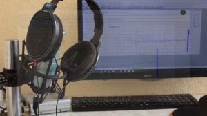 Обзор AKG P120 для озвучки в начальном тракте до 200$.