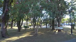 Гумиста. Абхазия. Прогулочная по Сухум.