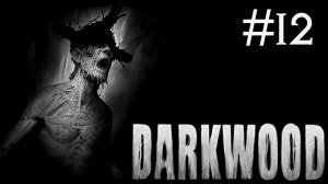 darkwood прохождение # ограблен! [12]