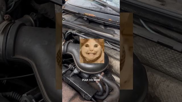 Кто понял, тот понял #passat #volkswagen #passatb3 #passatb4 смотреть онлайн