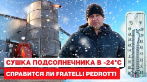 Сушка подсолнечника в -24°С. Справится ли Fratelli Pedrotti?