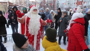 Зимние забавы жителей Чемского жилмассива