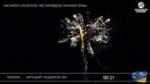 Y230100 Лучший подарок-100