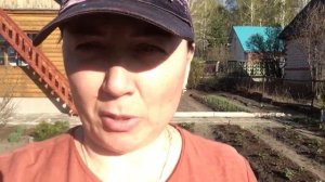 Что случилось с грушей?! Просим помощь зала! У Алекса операция "Одуванчик" Предпраздничный выпуск