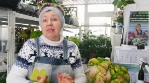 Обзор  ЦВЕТОЧНОЙ РАССАДЫ в феврале. Есть проблемы