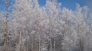 Мороз и солнце день чудесный. // переезд в деревню