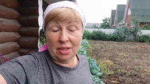 Бросила ТЫКВУ в сугроб и результат превзошел все ожидания. Куда девать столько тыкв?