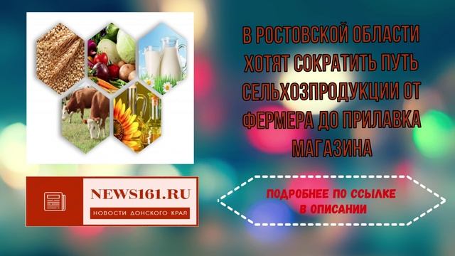 В Ростовской области хотят сократить путь сельхозпродукции от фермера до прилавка магазина