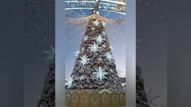 часть пятая