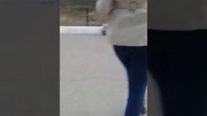 Кобель и девушка