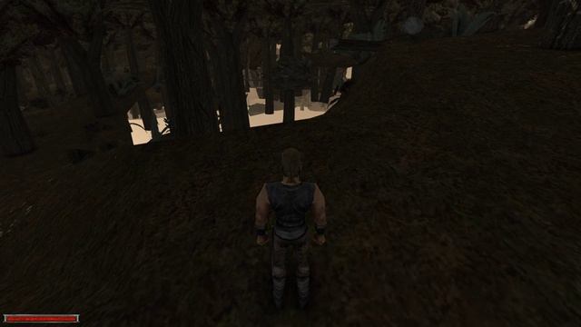 Gothic Walkthrough Part № 19