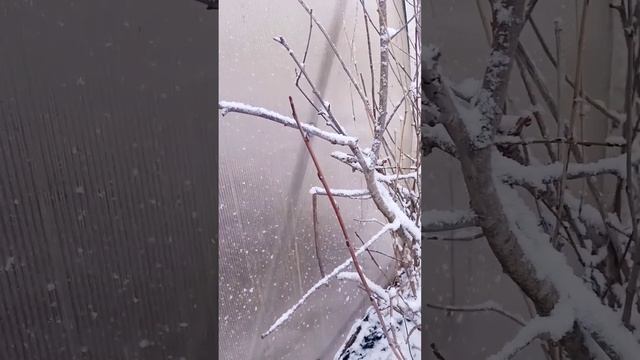 Вот она, весна в Сибири. смотреть онлайн