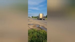 Интер Золотистый с 100% предоплатой.1 часть кратко. заеды. тесты. Финиш.