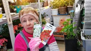 Какие ЦВЕТЫ и ОВОЩИ буду СЕЯТЬ в ЯНВАРЕ? Пора начинать