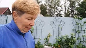 Муравьев как ветром сдуло. Два пакета  этого средства на 100 рублей хватит на все лето