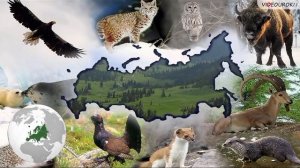 Хатажукаевская с/б подготовила видеоролик Исчкзающая красота