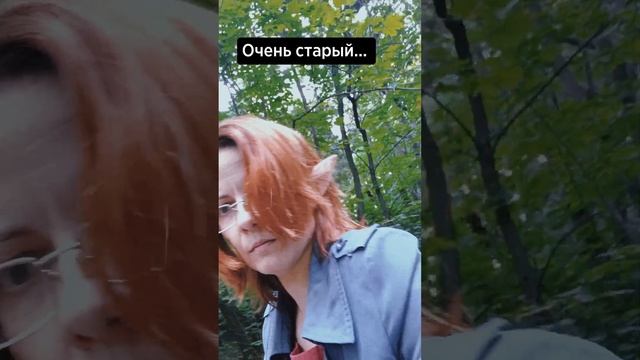 Типичный эльф воет на дуб #мд_писатель #фэнтезикниги #юмор #книги #буктюб #эльфы