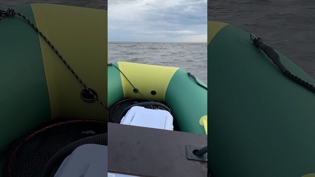 Рыбалка осень #automobile #рыбалка #fishing