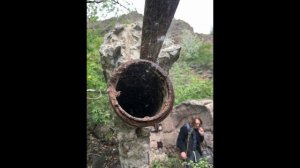 Сбыча Снов / Терпение / 30+ /  От И От  / Заводы Стоят /  Анатомия /  Анализ