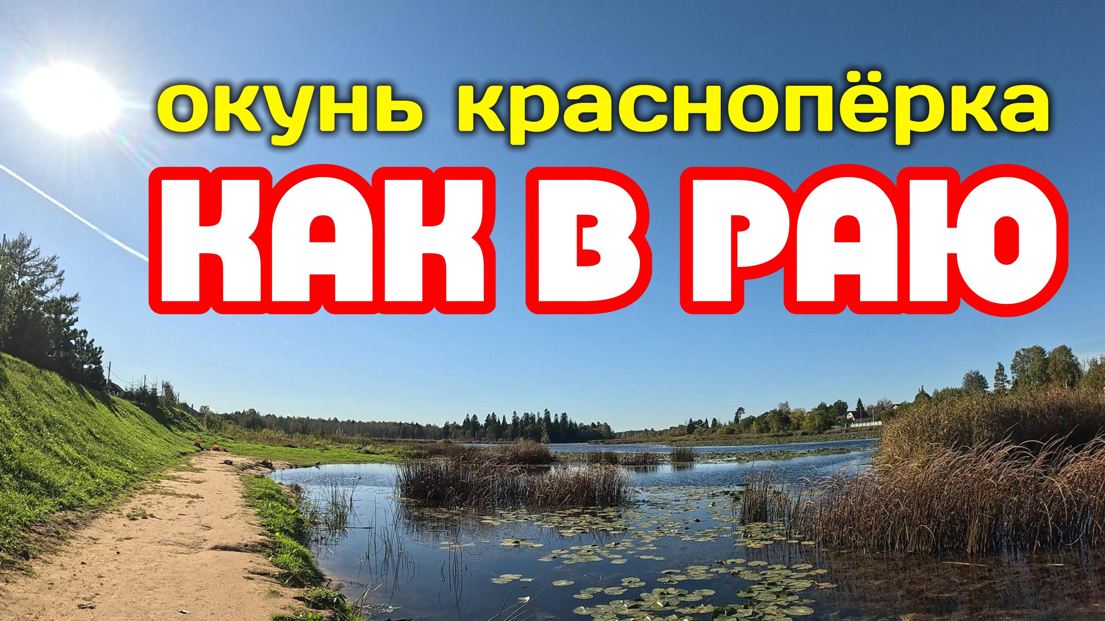 Спокойная рыбалка на ЖИВОПИСНОЙ речке! Тёплая ОСЕНЬ #мормышинг #рыбалка #окунь #красноперка