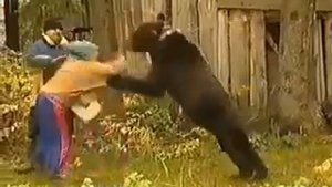Шок! Сенсация! Женщину задрал медведь! Слабонервным не смотреть! * Teddy bear