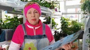 Не люблю, а надо и именно по листу. Мне их не победить- жду помощи