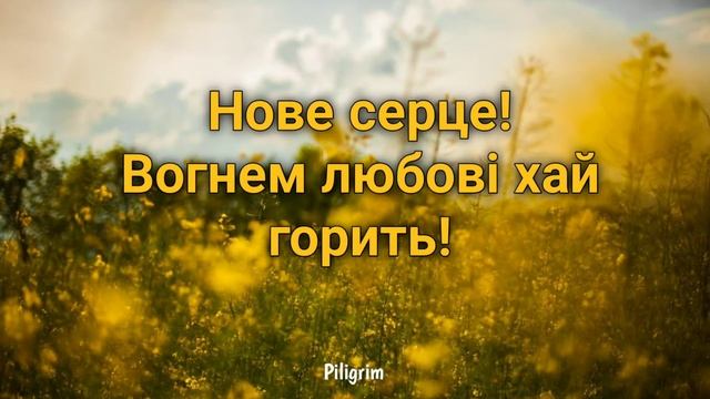 Поклонюсь Тобі, Господь! | Meorit | Пісня+текст смотреть онлайн