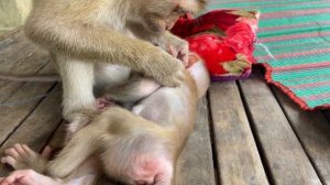 Sweet Baby JUEII Feeling Happaniss While Smart Zueii Grooming Her Very Nice