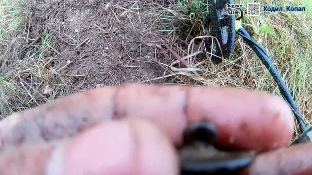 Ходил Копал в дождь по полю. Разные НАХОДКИ.