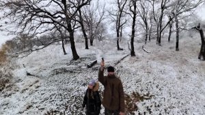 Первый снег 2024