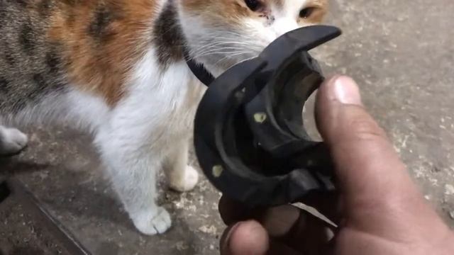 Как заменить внутренние саленблоки стабилизатора ФОЛЬКСВАГЕН ТУАРЕК 🔥