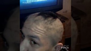 Петух - курица!