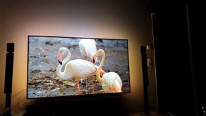Philips Ambilight 75PUS8505/12 75 4K  Video Test