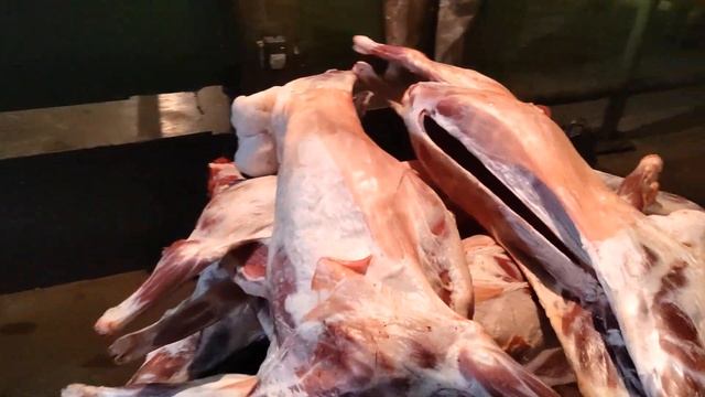 #гушти#гуспанд#мерават#екатеринбург#касеки#хоиш#дорат#мархамат+79220355557 смотреть онлайн