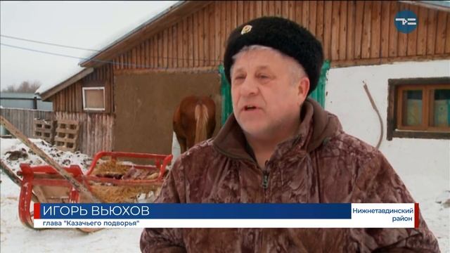 Венгерский эксперимент смотреть онлайн