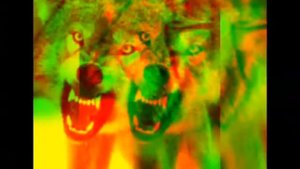 Песня ЛГБД ГИМН (ВОЛКИ)