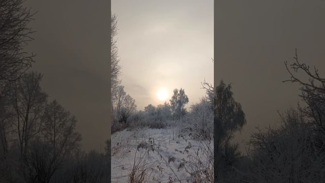 прогулка