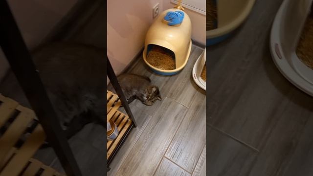 На задворках капитализма.