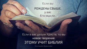 Если вы рождены Свыше... – цитата У.М. Бранхам